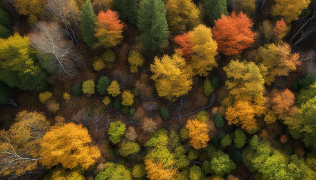 Tick Habitats Tick Habitats