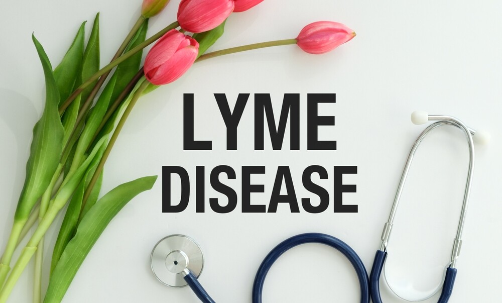Lyme Literate Doctors Near Me 20 medicine, healthcare, and people concept - female doctor with tablet pc computer talking to smiling woman patient at hospital